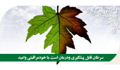 تقویت حوزه سلامت با جلب مشارکت عمومی امکان پذیر است